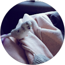 Nicola Xu profile picture